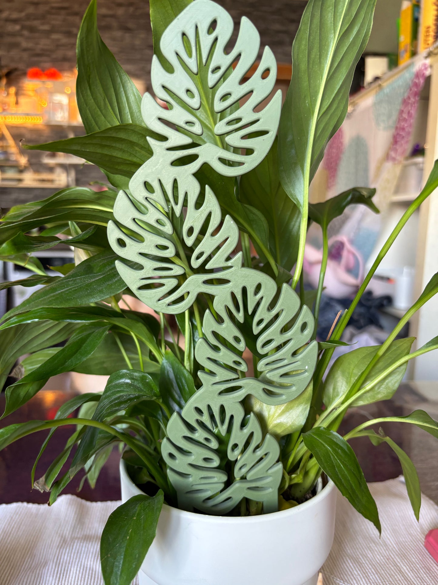 Rankhilfe Monstera