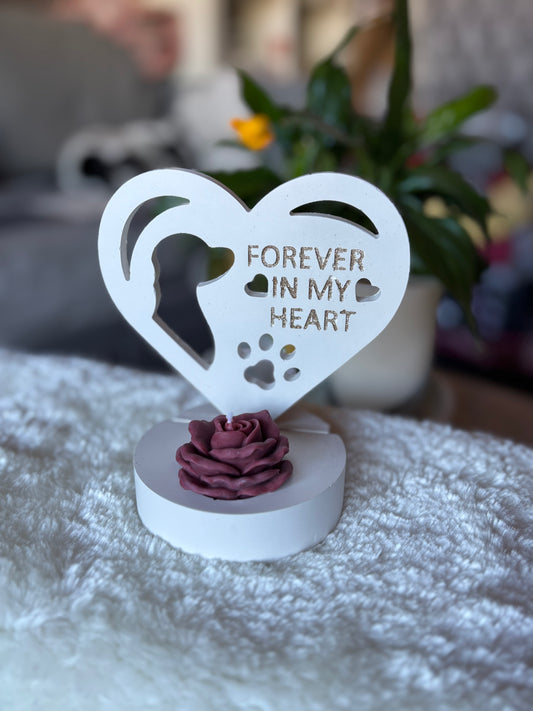 Hund / Katze Erinnerung