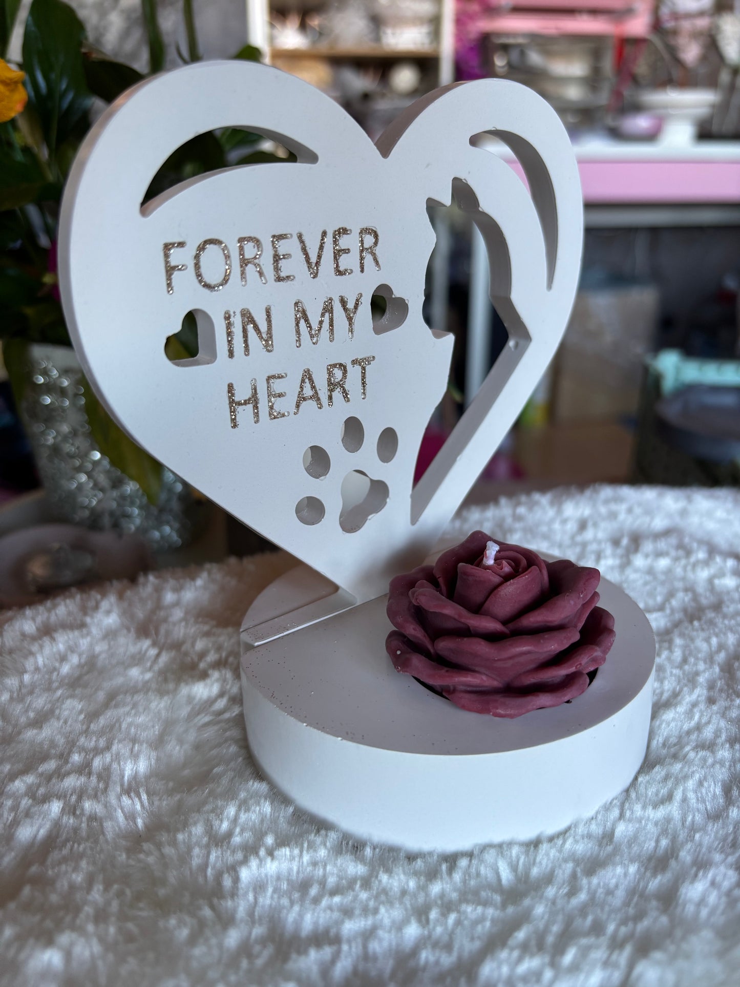 Hund / Katze Erinnerung